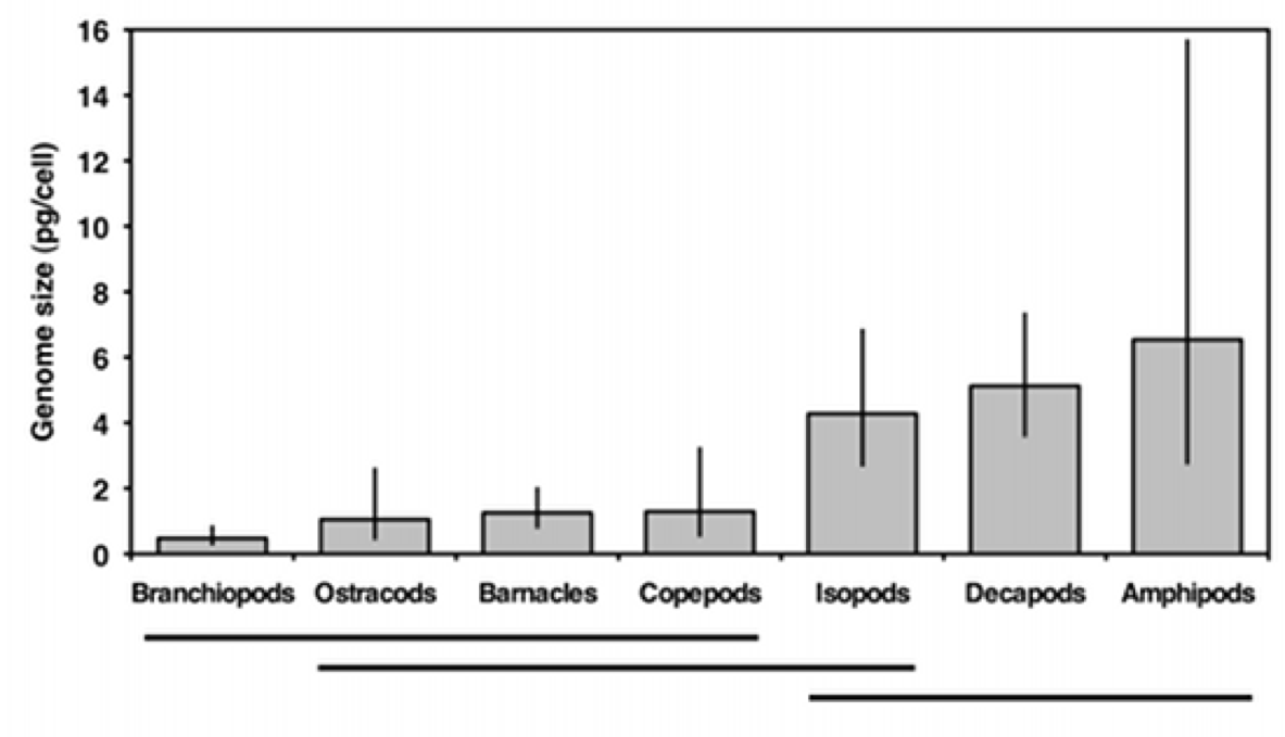 images/anova_example.png