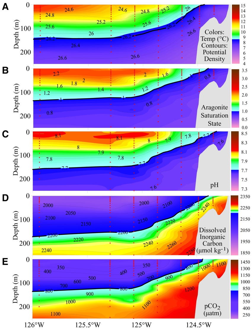 images/arag_sat.png