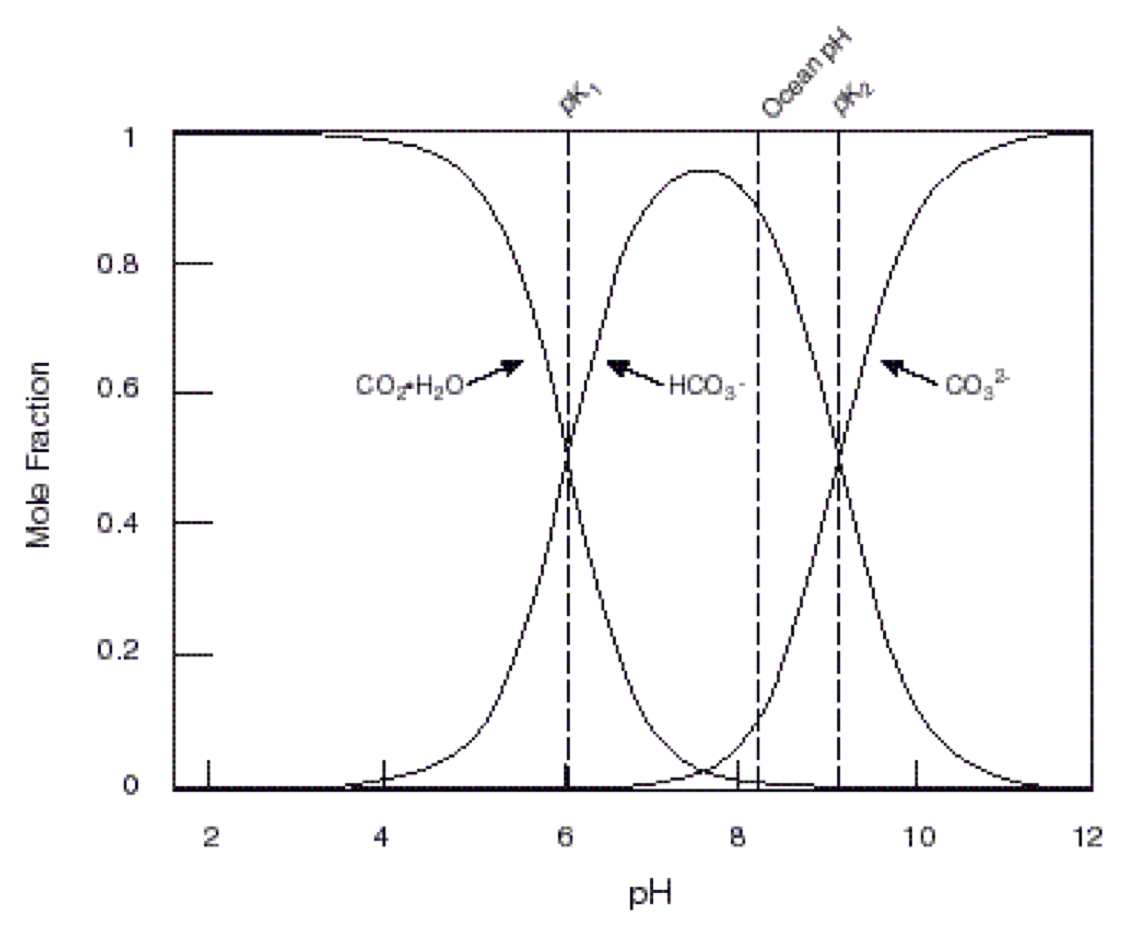 images/carbonate_example.png