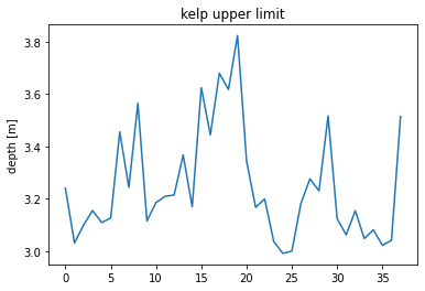 _images/week09d-monterey_bay_kelp_7_1.png